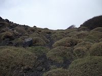 Serra_delle_Concazze - 201100508 103.jpg